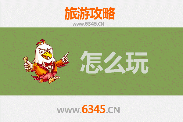 节假日畅游武威民勤：沙漠绿洲的深度体验之旅